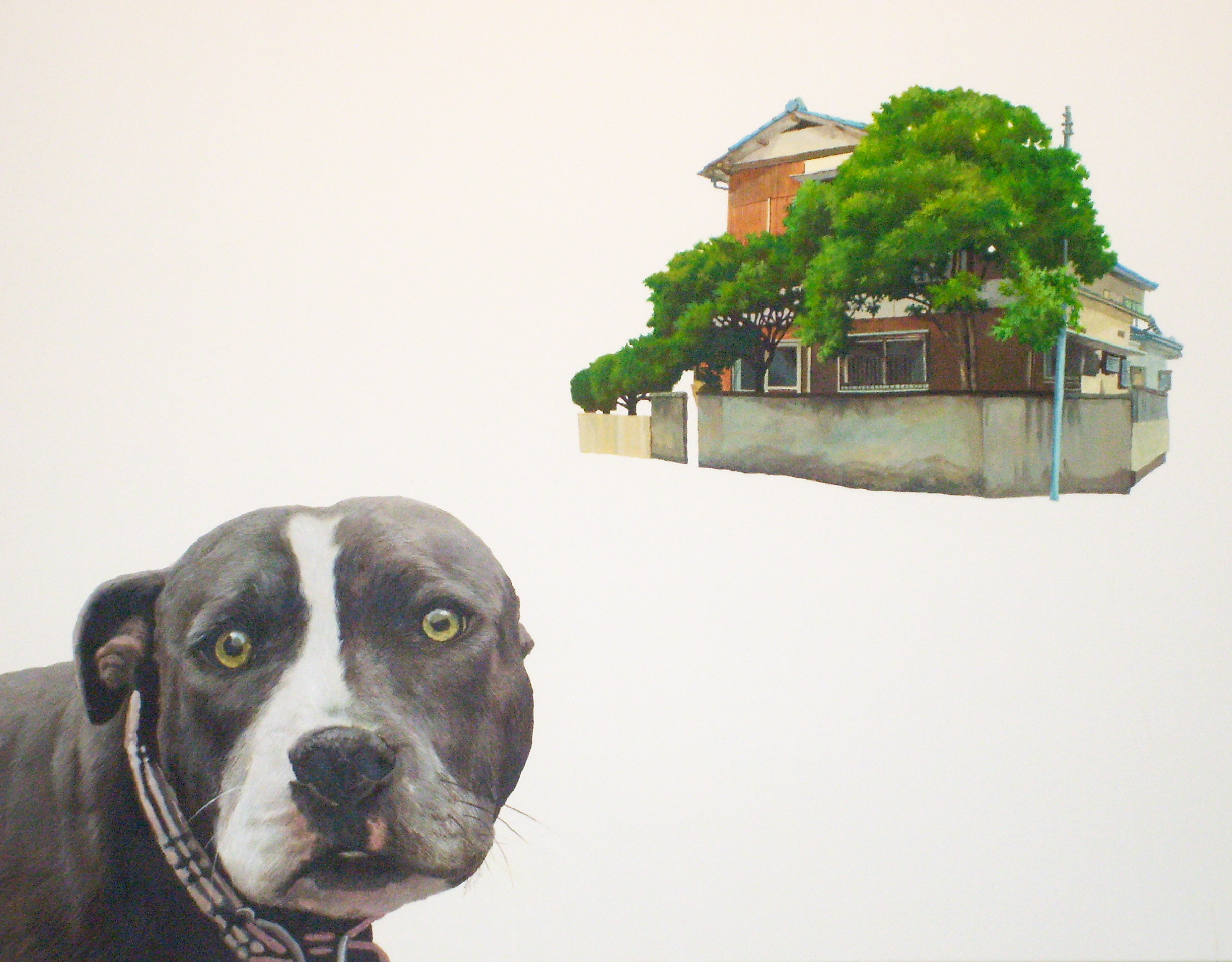 이런 도대체 난 여기서 뭘 하고 있는거지?