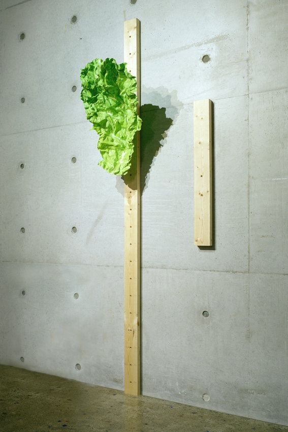 극한신선경험기