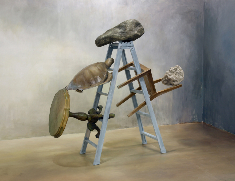 거북이와 사다리