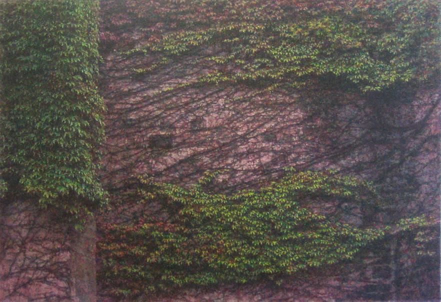 깊이없는 풍경 II