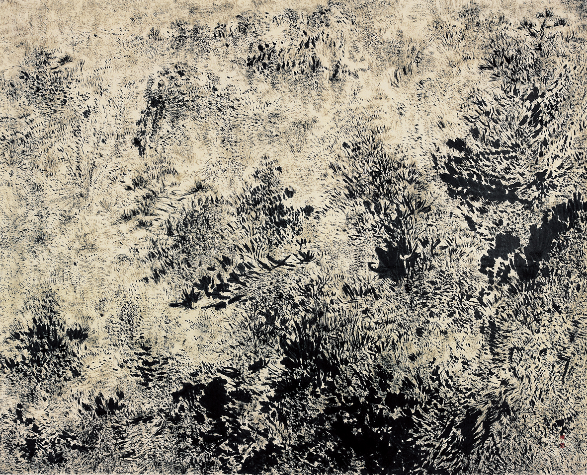 숲-잔잔한 바람