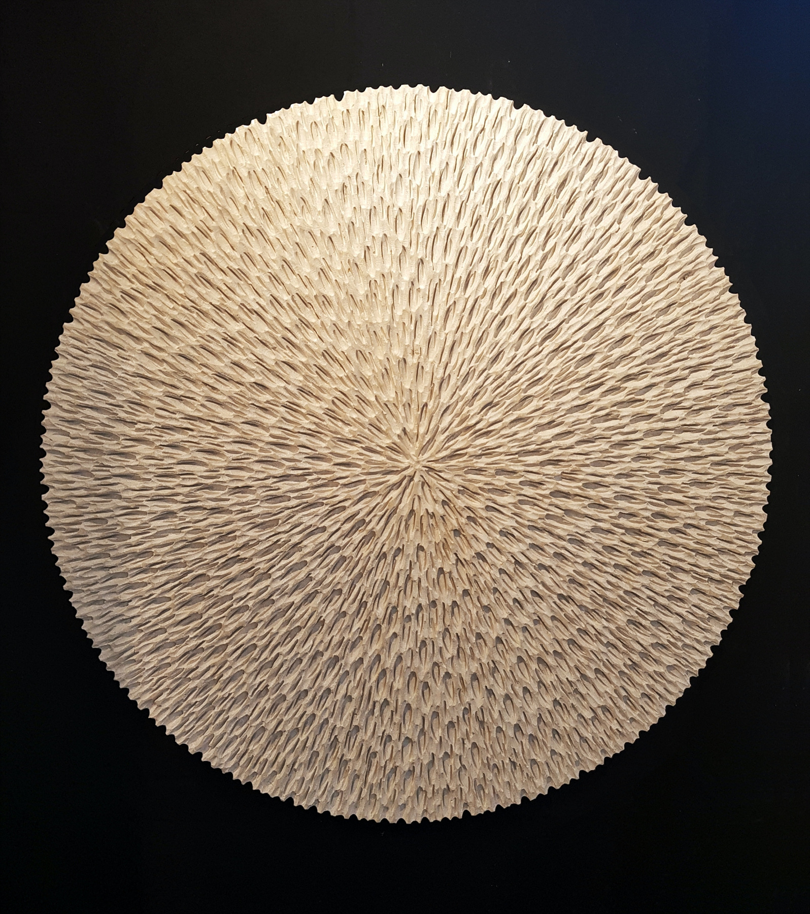 FIAT LUX : Sculptural Drawing Series