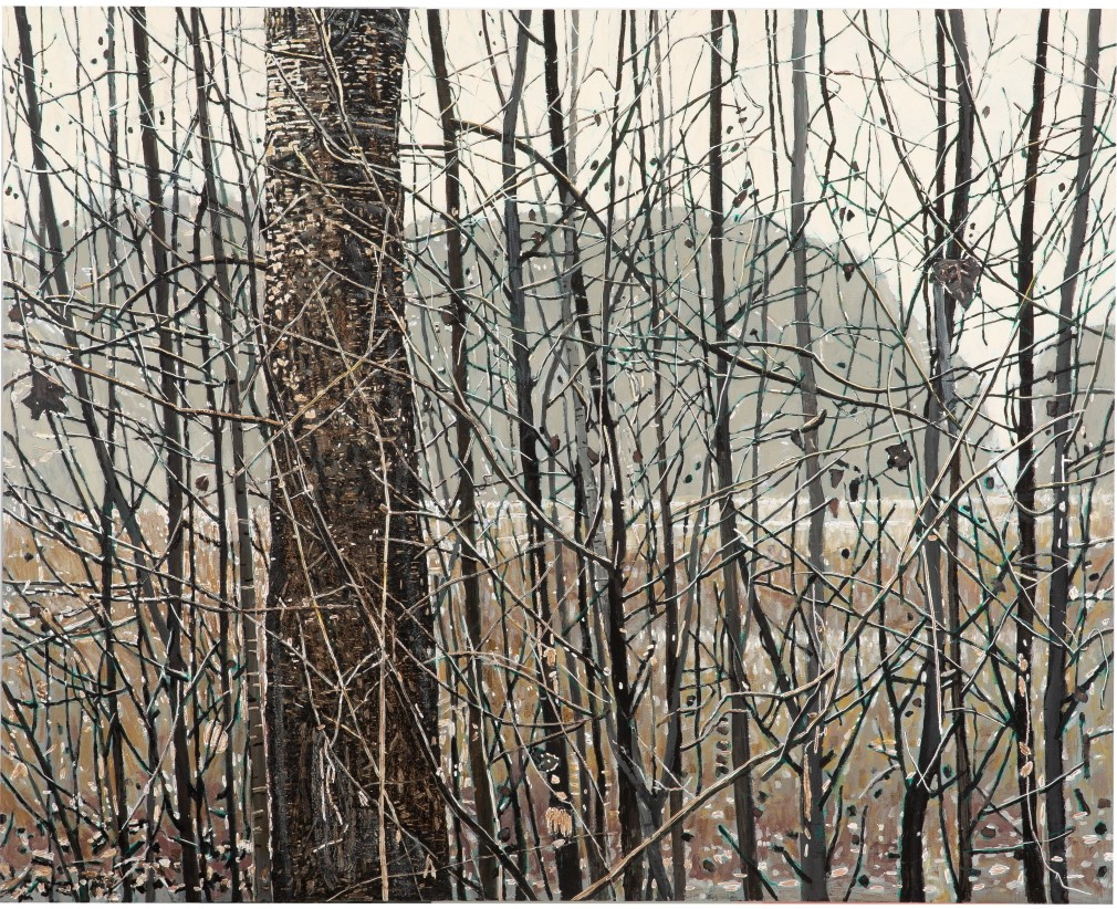 겨울 나무 숲(休眠)