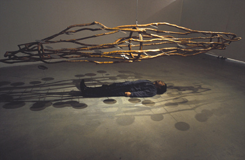 순환의 여행/방주와 강목사이