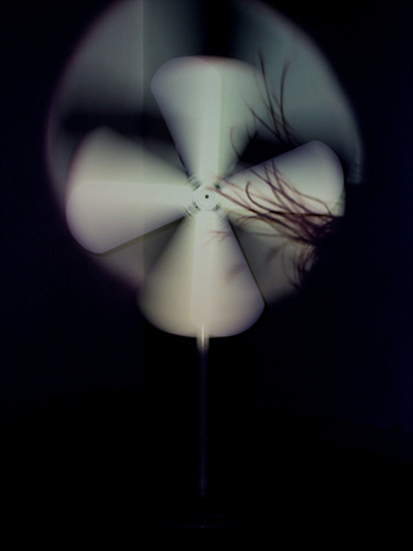 바람에 날리다.