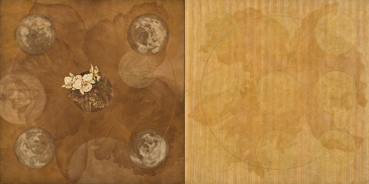 생명-살아있음 2801