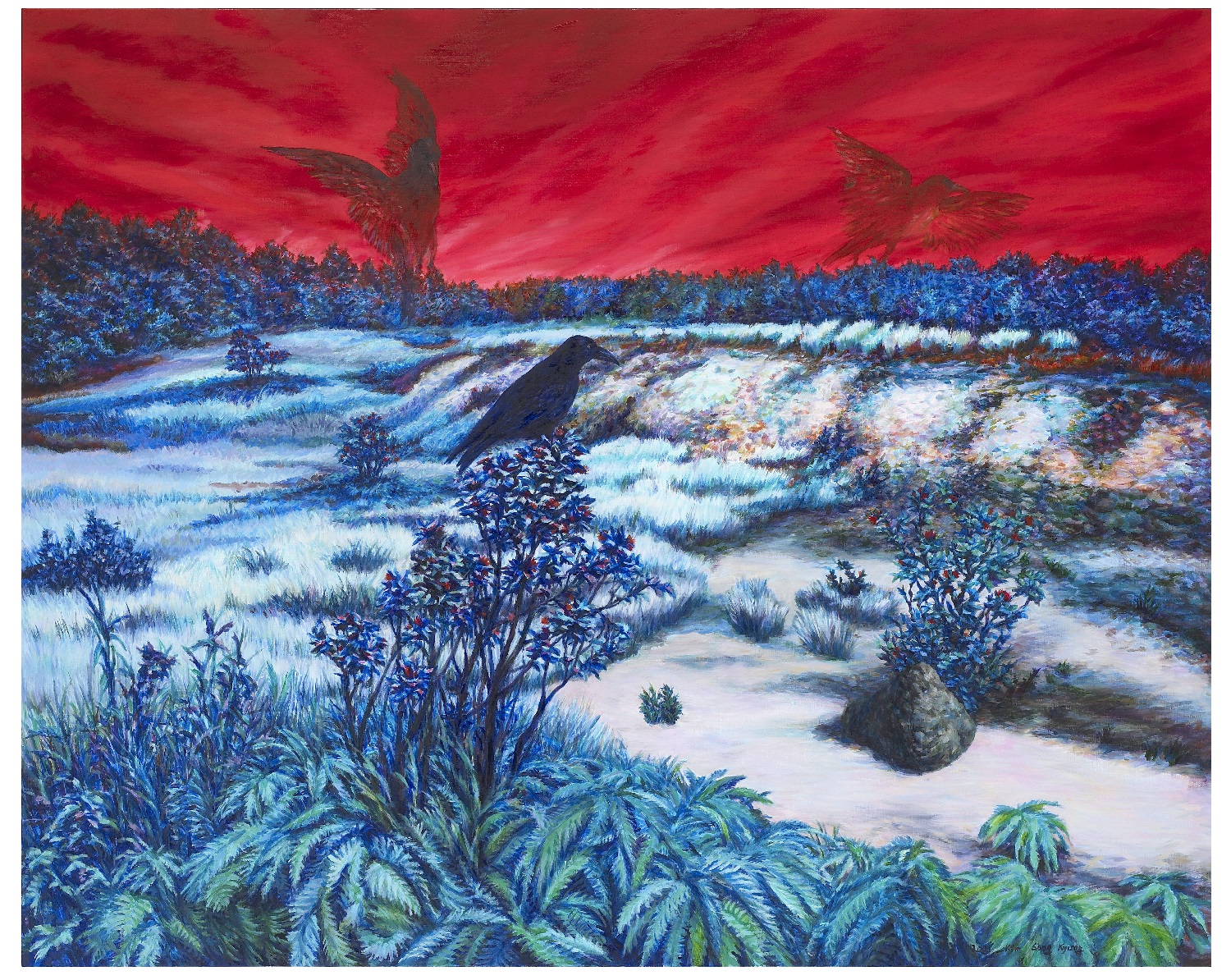 빅아일랜드의 까마귀