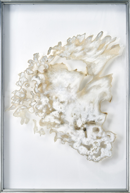 이미륵의 거울 II