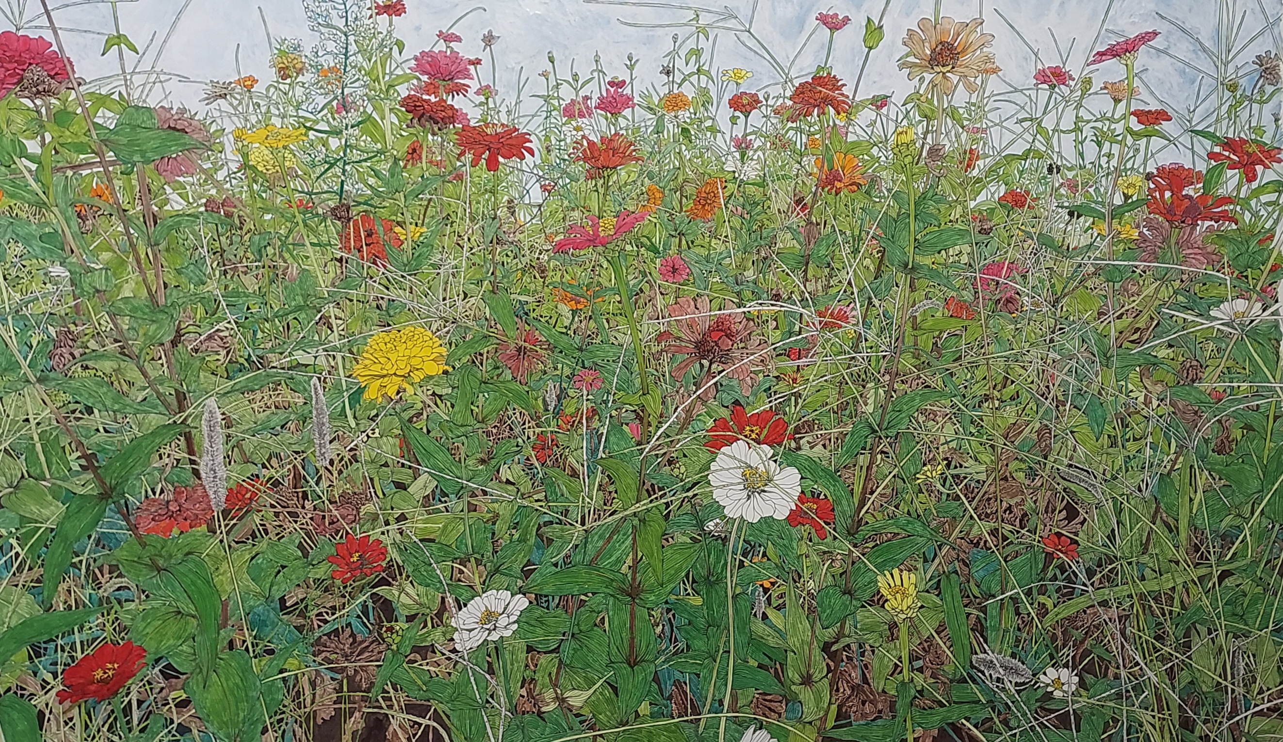 여름이 지나간 자리