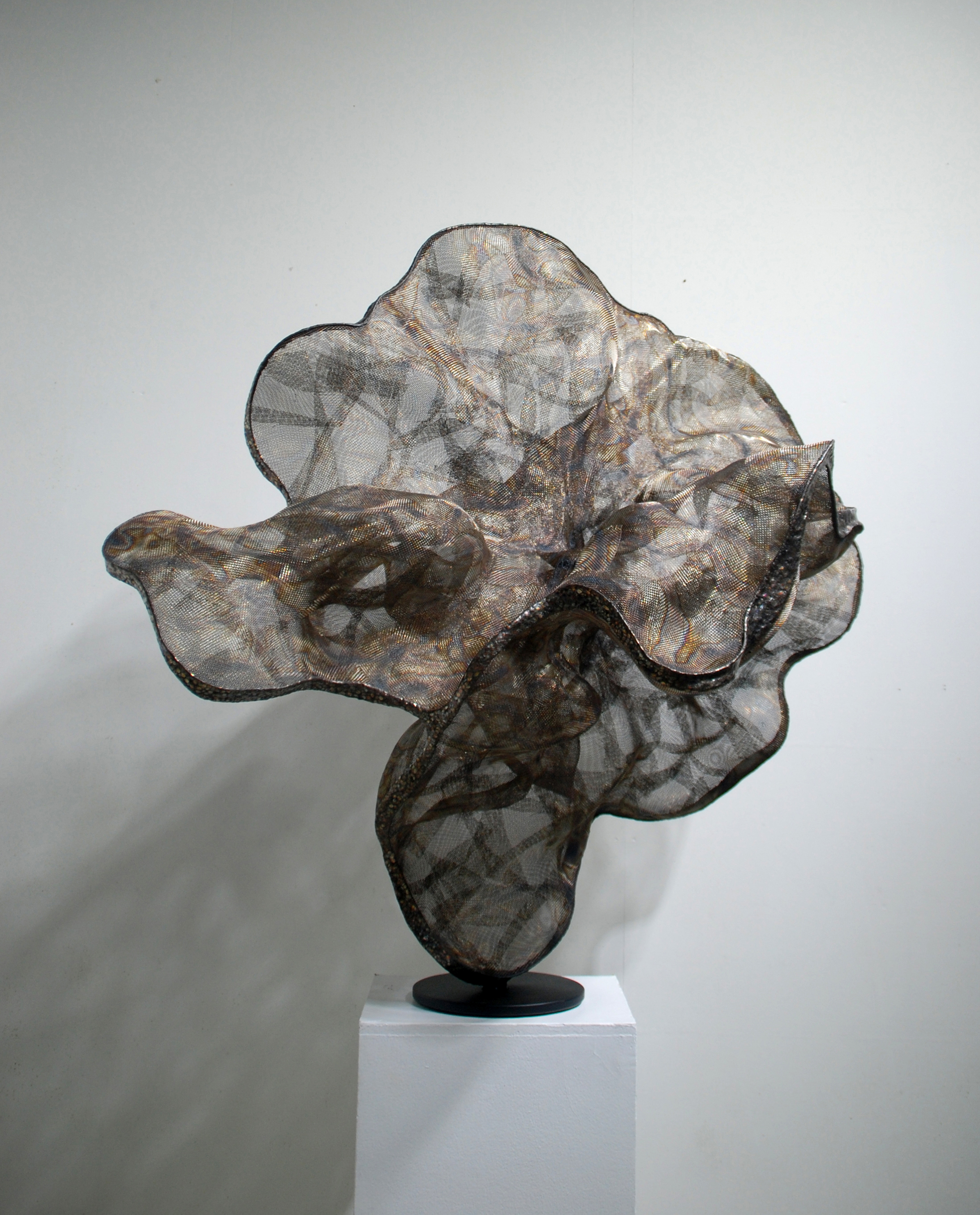 Multiple Illusion 2202