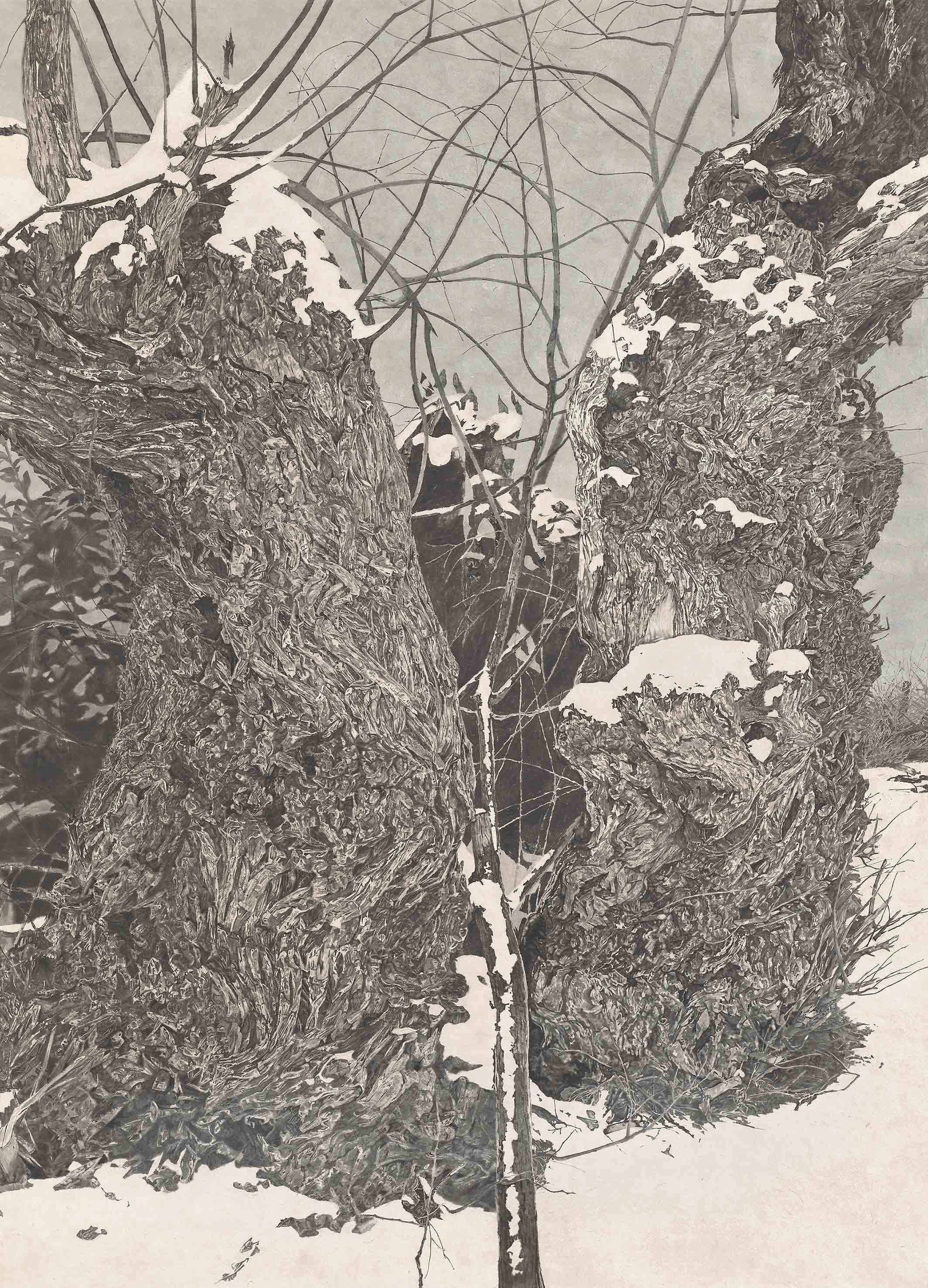 종단(縱斷)-벼락 맞은 나무