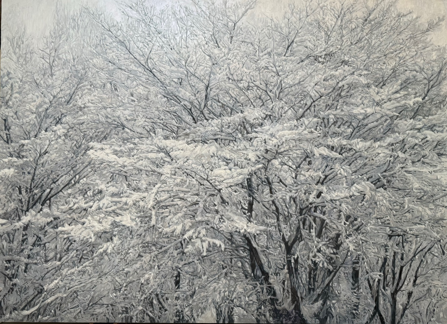 벗나무에 핀 눈꽃