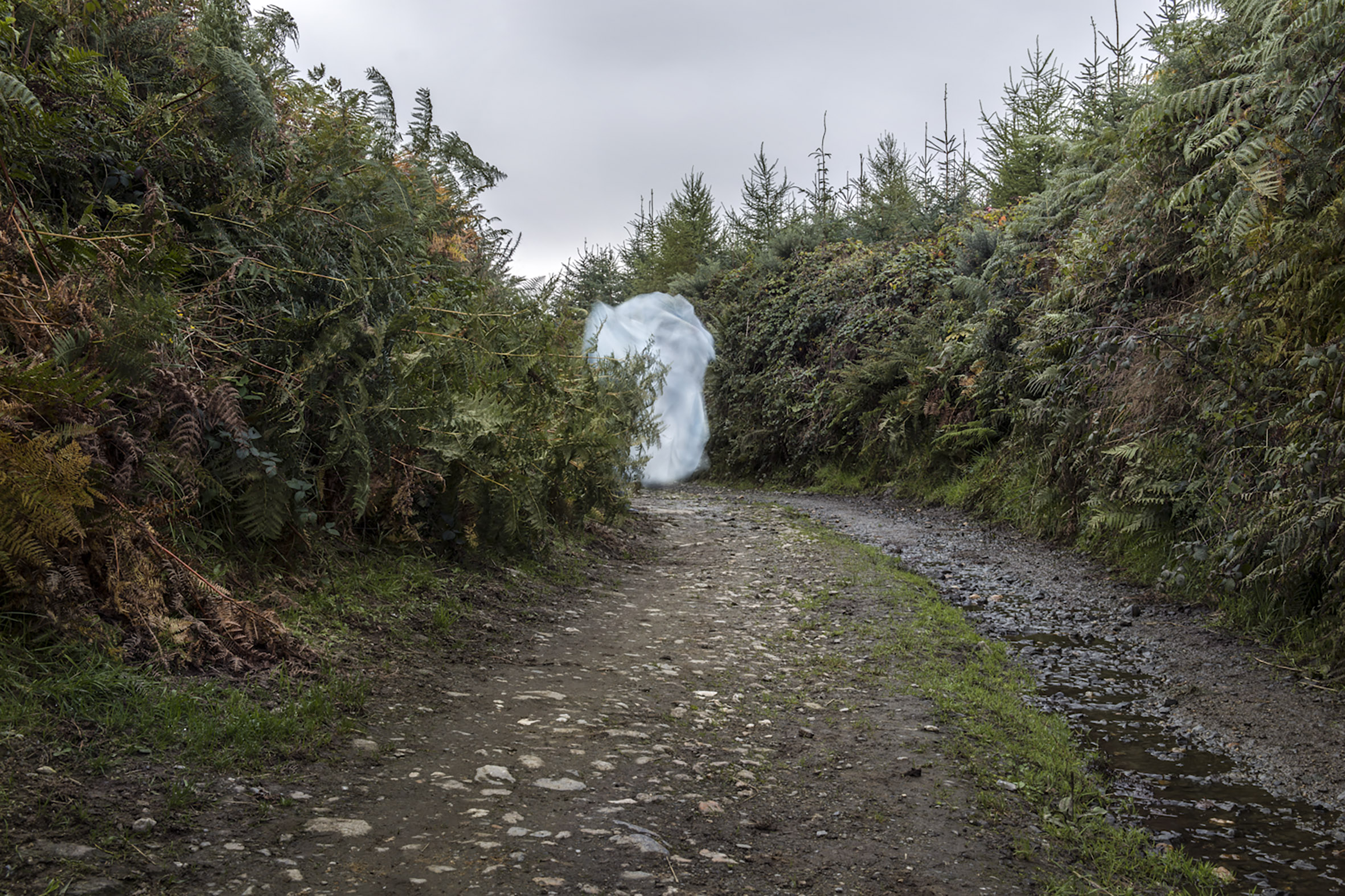 Post Tenebras Lux 07